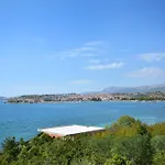 Tri Palme